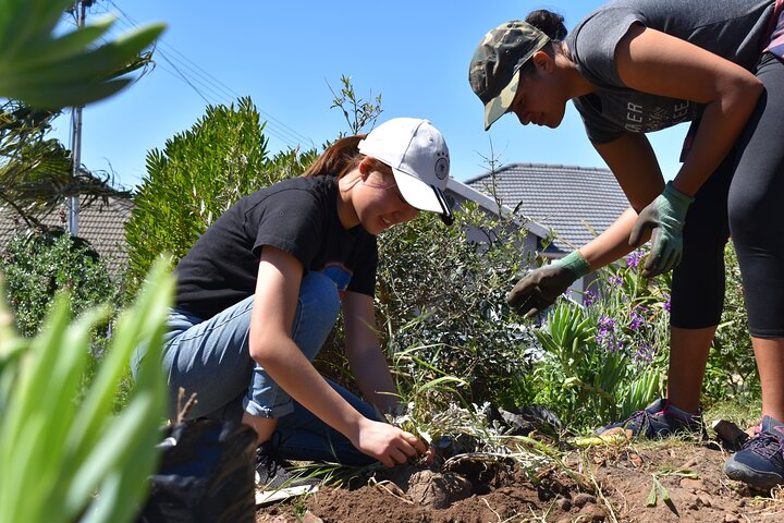 Urban Agriculture crash course - Photo 1 of 8